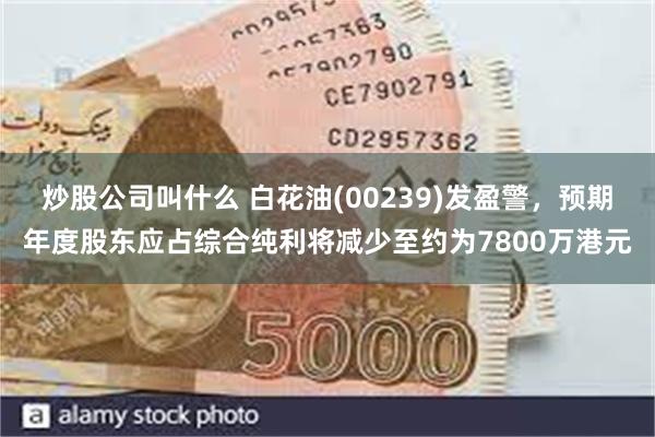 炒股公司叫什么 白花油(00239)发盈警，预期年度股东应占综合纯利将减少至约为7800万港元