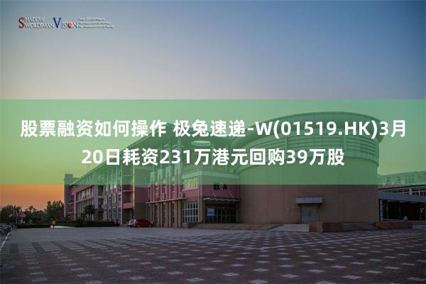 股票融资如何操作 极兔速递-W(01519.HK)3月20日耗资231万港元回购39万股