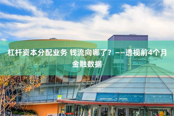 杠杆资本分配业务 钱流向哪了？——透视前4个月金融数据