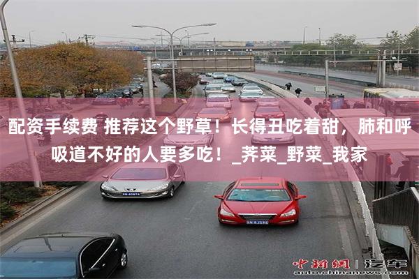 配资手续费 推荐这个野草！长得丑吃着甜，肺和呼吸道不好的人要多吃！_荠菜_野菜_我家