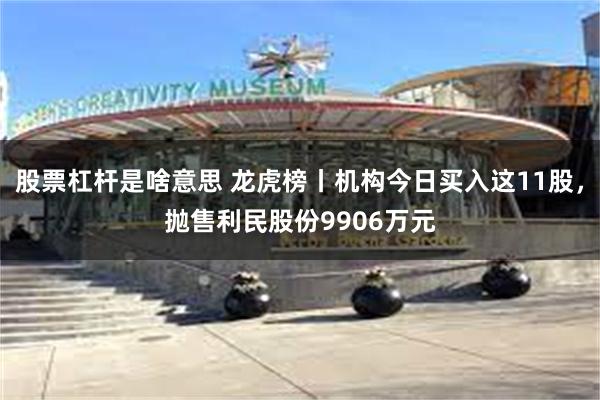 股票杠杆是啥意思 龙虎榜丨机构今日买入这11股，抛售利民股份9906万元
