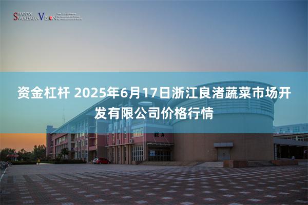 资金杠杆 2025年6月17日浙江良渚蔬菜市场开发有限公司价格行情