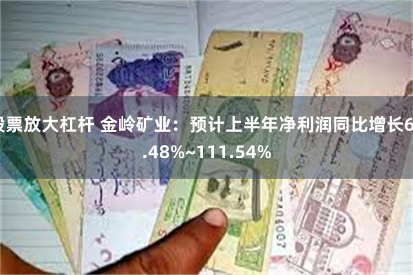 股票放大杠杆 金岭矿业：预计上半年净利润同比增长66.48%~111.54%