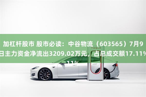 加杠杆股市 股市必读：中谷物流（603565）7月9日主力资金净流出3209.02万元，占总成交额17.11%