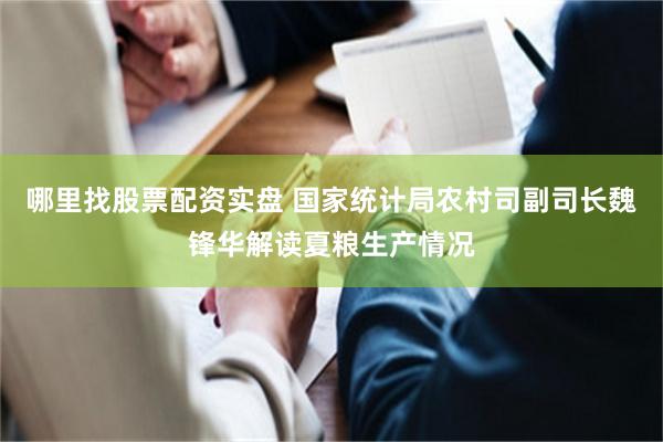 哪里找股票配资实盘 国家统计局农村司副司长魏锋华解读夏粮生产情况