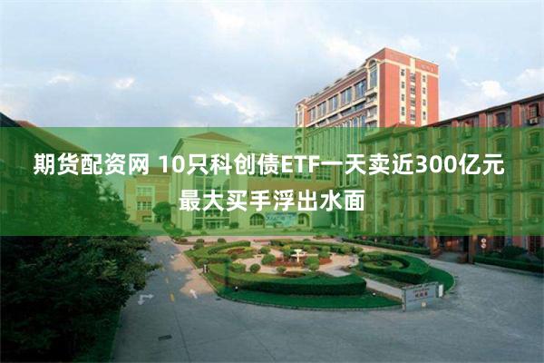 期货配资网 10只科创债ETF一天卖近300亿元 最大买手浮出水面