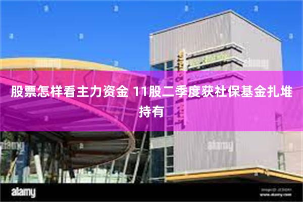股票怎样看主力资金 11股二季度获社保基金扎堆持有