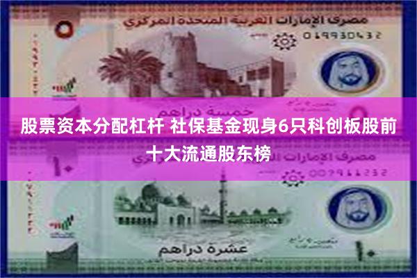 股票资本分配杠杆 社保基金现身6只科创板股前十大流通股东榜