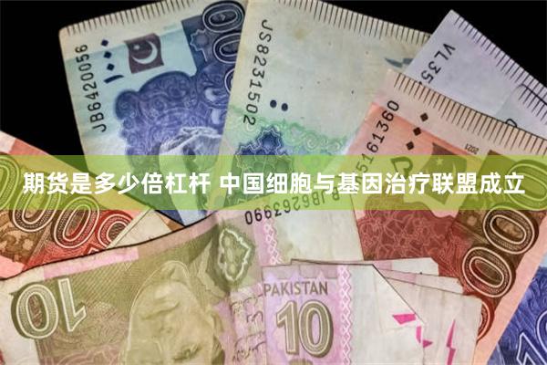 期货是多少倍杠杆 中国细胞与基因治疗联盟成立