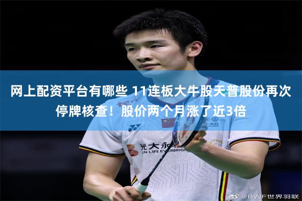 网上配资平台有哪些 11连板大牛股天普股份再次停牌核查！股价两个月涨了近3倍