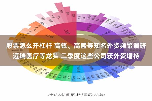 股票怎么开杠杆 高瓴、高盛等知名外资频繁调研迈瑞医疗等龙头 二季度这些公司获外资增持