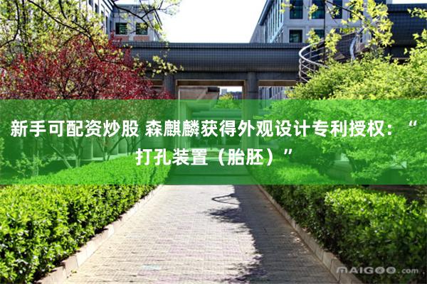 新手可配资炒股 森麒麟获得外观设计专利授权：“打孔装置（胎胚）”