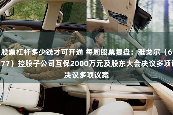 股票杠杆多少钱才可开通 每周股票复盘：雅戈尔（600177）控股子公司互保2000万元及股东大会决议多项议案