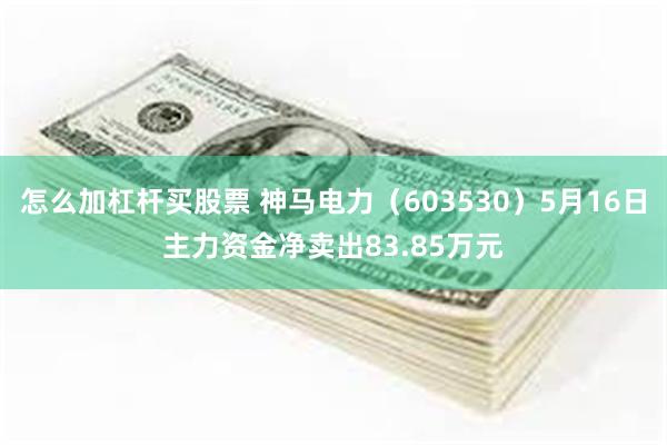 怎么加杠杆买股票 神马电力（603530）5月16日主力资金净卖出83.85万元