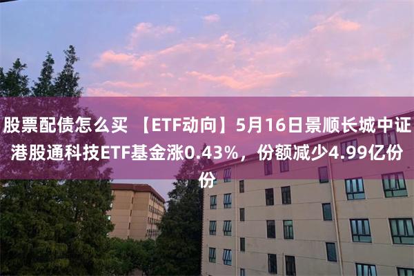 股票配债怎么买 【ETF动向】5月16日景顺长城中证港股通科技ETF基金涨0.43%，份额减少4.99亿份
