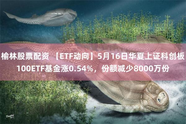 榆林股票配资 【ETF动向】5月16日华夏上证科创板100ETF基金涨0.54%，份额减少8000万份