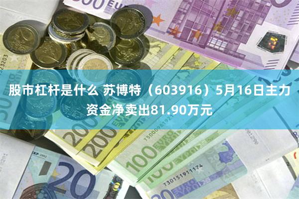 股市杠杆是什么 苏博特（603916）5月16日主力资金净卖出81.90万元
