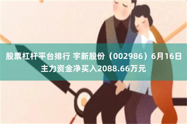 股票杠杆平台排行 宇新股份(002986)6月16日主力资金净买入2088.66万元