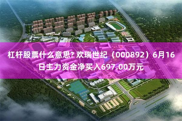 杠杆股票什么意思? 欢瑞世纪（000892）6月16日主力资金净买入697.00万元