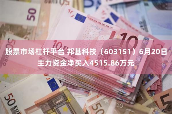 股票市场杠杆平台 邦基科技（603151）6月20日主力资金净买入4515.86万元