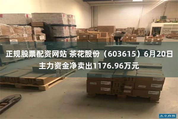 正规股票配资网站 茶花股份（603615）6月20日主力资金净卖出1176.96万元