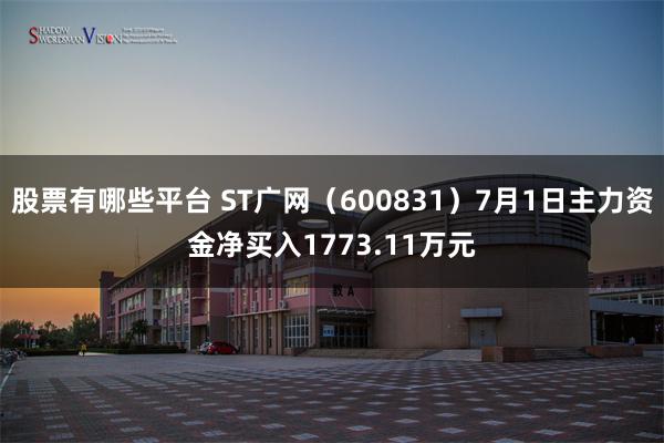 股票有哪些平台 ST广网（600831）7月1日主力资金净买入1773.11万元