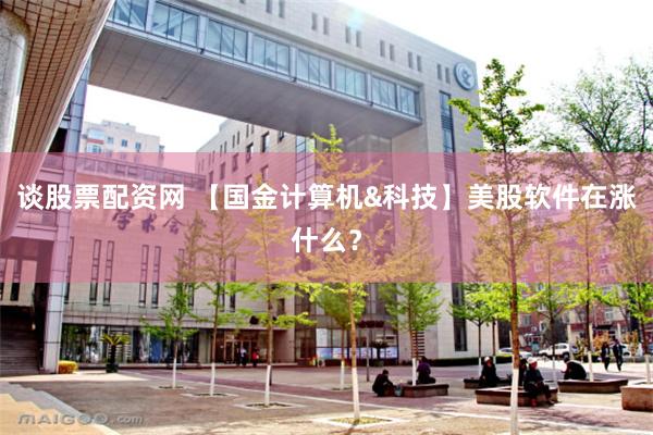 谈股票配资网 【国金计算机&科技】美股软件在涨什么?