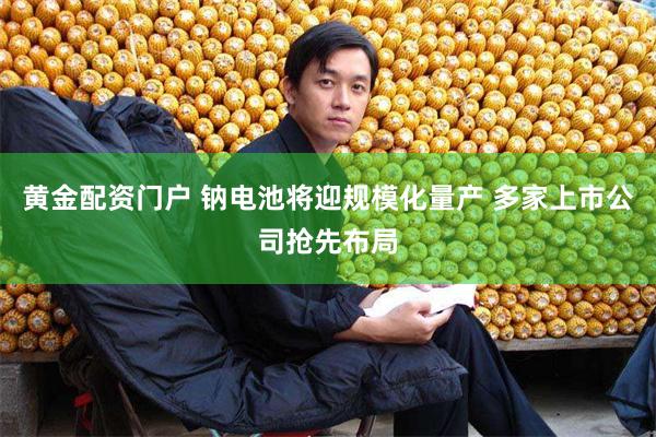 黄金配资门户 钠电池将迎规模化量产 多家上市公司抢先布局