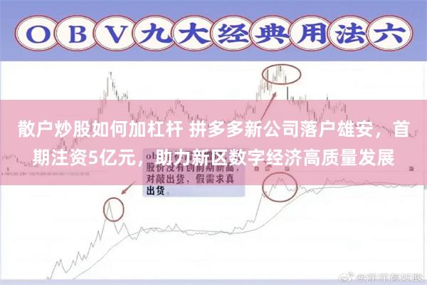 散户炒股如何加杠杆 拼多多新公司落户雄安，首期注资5亿元，助力新区数字经济高质量发展