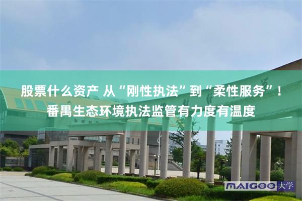 股票什么资产 从“刚性执法”到“柔性服务”！番禺生态环境执法监管有力度有温度