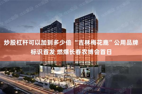 炒股杠杆可以加到多少倍 “吉林梅花鹿”公用品牌标识首发 燃爆长春农博会首日