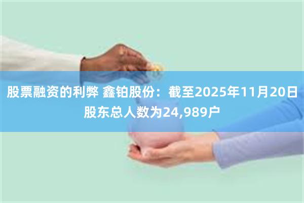 股票融资的利弊 鑫铂股份：截至2025年11月20日股东总人数为24,989户