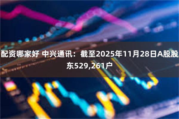 配资哪家好 中兴通讯：截至2025年11月28日A股股东529,261户