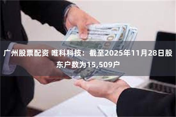 广州股票配资 唯科科技：截至2025年11月28日股东户数为15,509户
