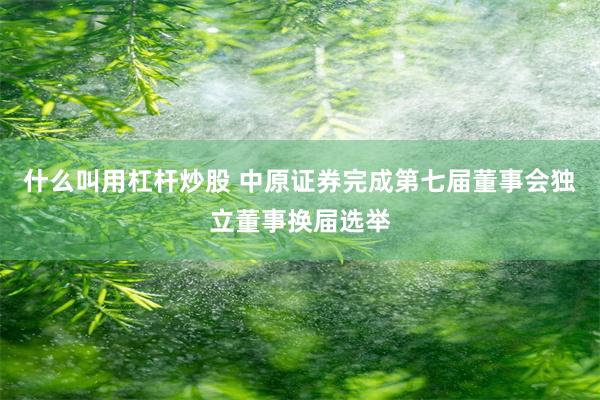 什么叫用杠杆炒股 中原证券完成第七届董事会独立董事换届选举