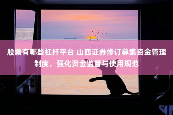 股票有哪些杠杆平台 山西证券修订募集资金管理制度,强化资金监管与使用规范