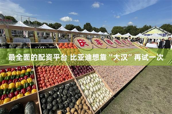 最全面的配资平台 比亚迪想靠“大汉”再试一次