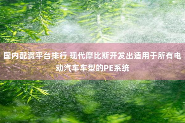 国内配资平台排行 现代摩比斯开发出适用于所有电动汽车车型的PE系统