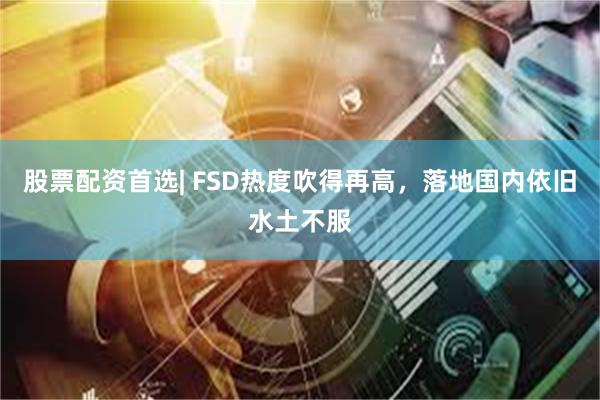 股票配资首选| FSD热度吹得再高,落地国内依旧水土不服