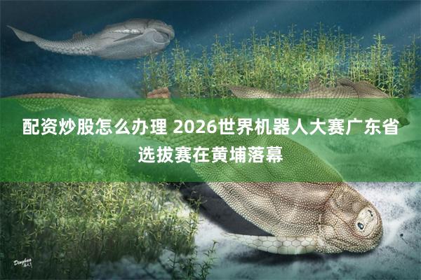 配资炒股怎么办理 2026世界机器人大赛广东省选拔赛在黄埔落幕