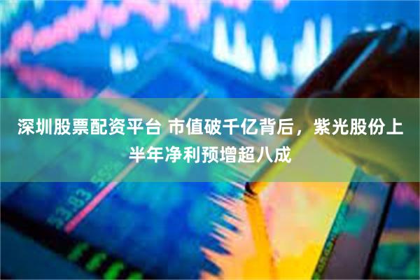 深圳股票配资平台 市值破千亿背后，紫光股份上半年净利预增超八成