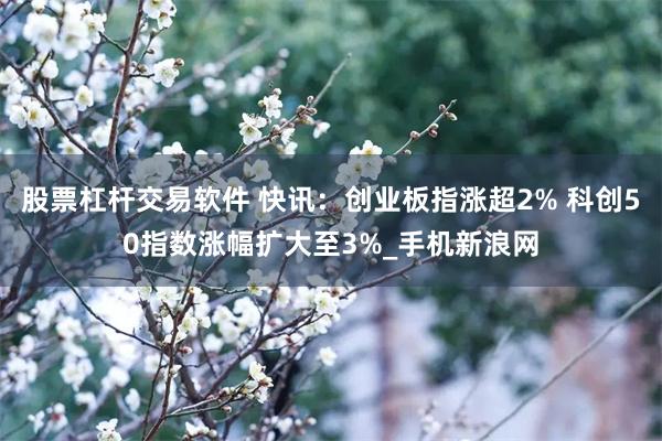 股票杠杆交易软件 快讯：创业板指涨超2% 科创50指数涨幅扩大至3%_手机新浪网