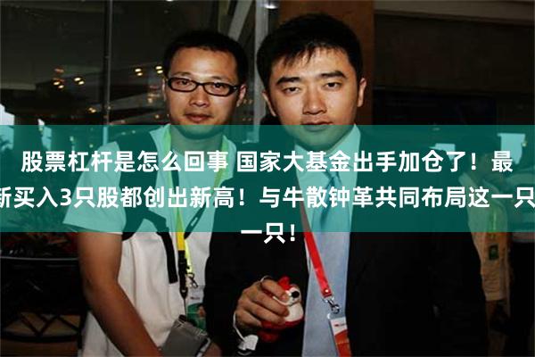 股票杠杆是怎么回事 国家大基金出手加仓了!最新买入3只股都创出新高!与牛散钟革共同布局这一只!
