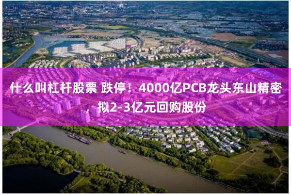 什么叫杠杆股票 跌停！4000亿PCB龙头东山精密，拟2-3亿元回购股份